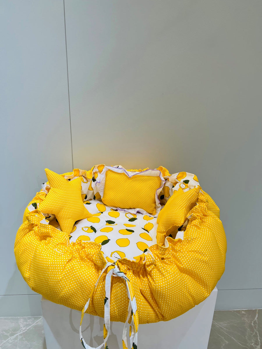 Fareto Combo of Baby Nest Bed with Net Carry Bag 4 Pcs Bedding S