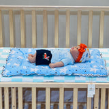 Fareto New Born Baby Premium Quality Mattress with Net | Sleeping Bag | Carry Bed  (0-4 Months)(cloud blue)