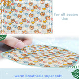 FARETO BABY KIDS SUPER SOFT PREMIUM QUALITY WINTER BLANKET ( PACK OF 2) (0-12 MONTHS)