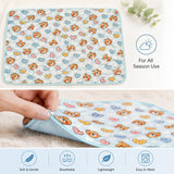FARETO BABY KIDS SUPER SOFT PREMIUM QUALITY WINTER BLANKET ( PACK OF 2)(Size:75CM*60CM) (0-6 MONTHS)(F393)